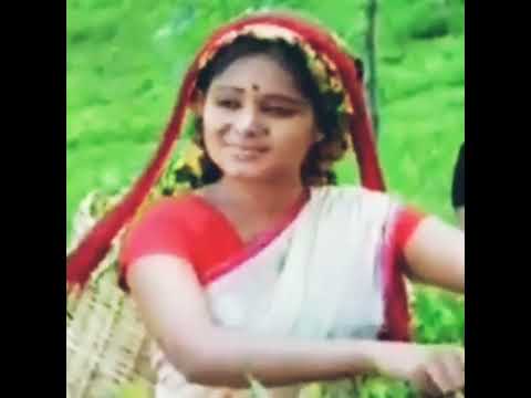 apa jathiye namayen (cricket song)