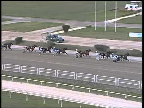 Trotto 15/01/2015 - 2° Corsa