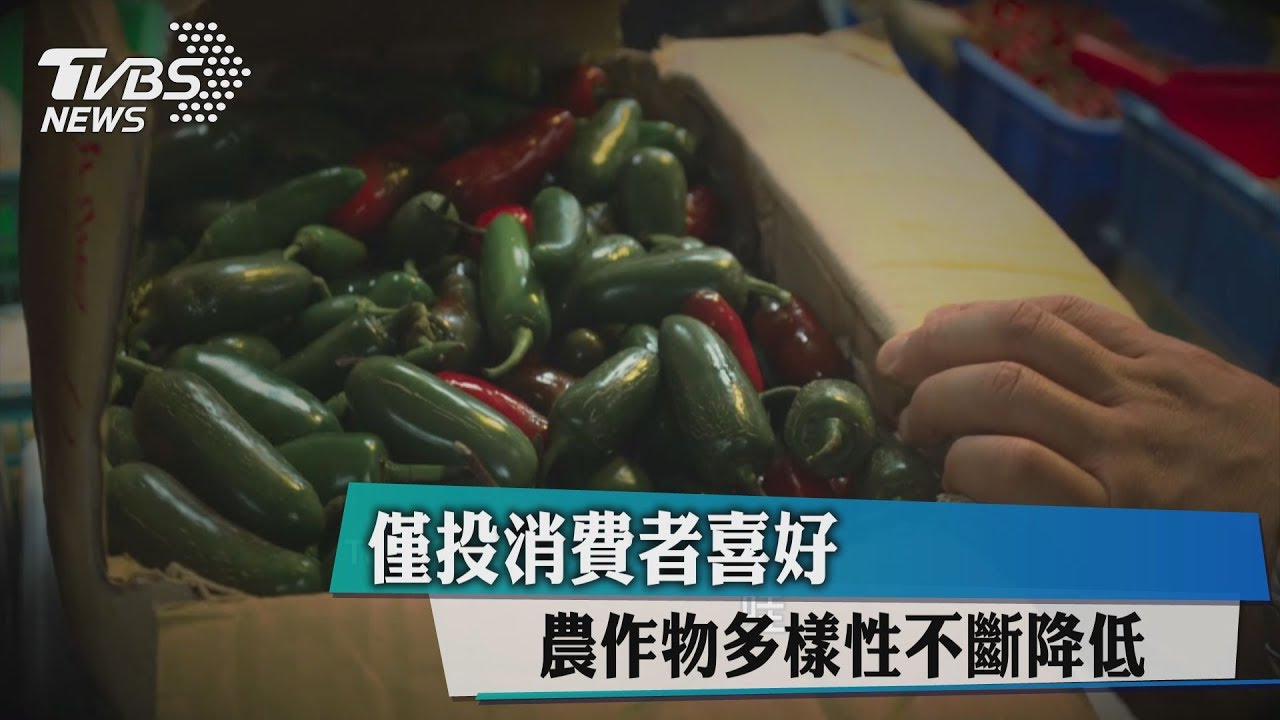 僅投消費者喜好　農作物多樣性不斷降低