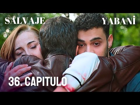Savage 36. Chapter Fragment / Yabani 36. Bölüm / #series #turkishseries / In Spanish
