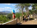Panado S Harlem Shake
