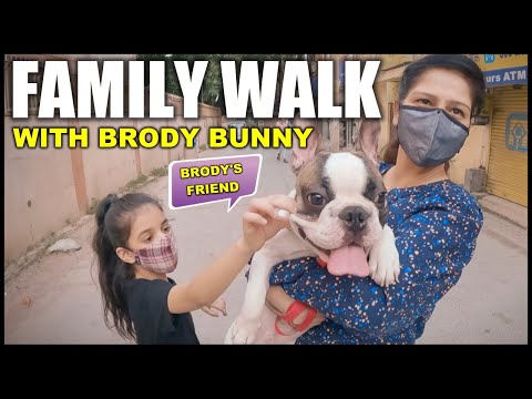 Guneet PAPA ko Kya Gift Kar rai hai and On Family Walk with Our Dogs Brody Bunny | Harpreet SDC