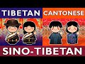 From The Mountains To The City Tibetan Meets Cantonese