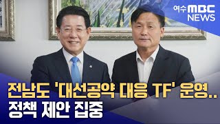 전남도 '대선공약 대응 TF' 운영... 정책 제안 집중 (250423수/뉴스데스크)
