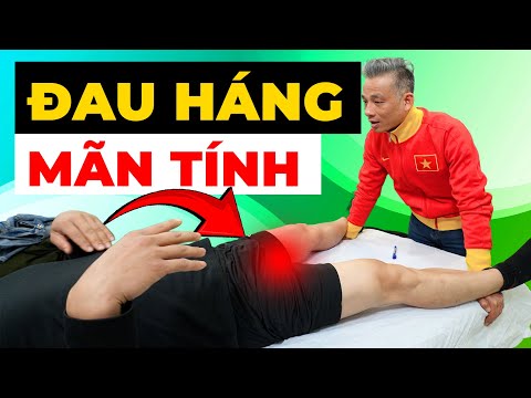 Đau Háng Mãn Tính: Nỗi Khổ Thầm Lặng Khiến Bạn Mất Ngủ và Sợ Vận Động