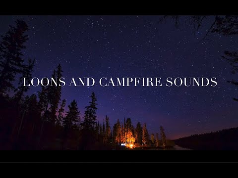 1 Hour Loon Calls With Campfire Sound - Loon Calls For Relaxing; *NO MUSIC*