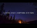 1 Hour Loon Calls With Campfire Sound Loon Calls For Relaxing NO MUSIC
