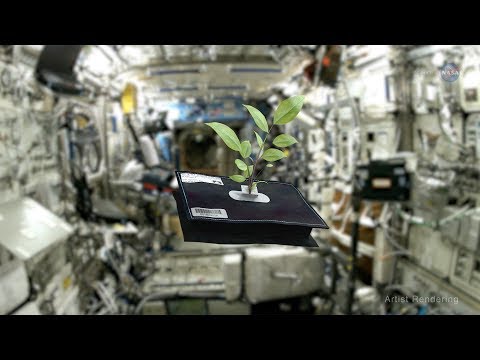 ScienceCasts: Space Gardening