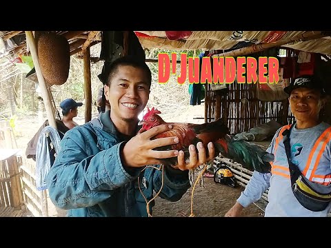 Vlogger na si D'Juanderer bumisita at nakahingi ng Labuyo | D'hunter | BuhayProbinsya
