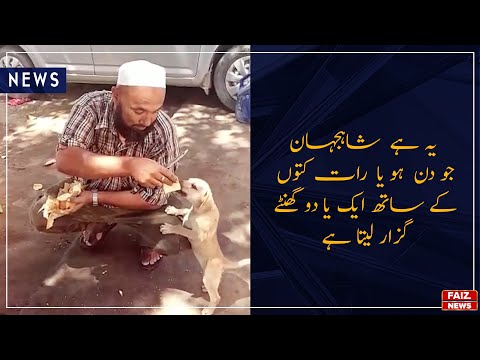 Shahjahan's love for stray dog will melt your heart