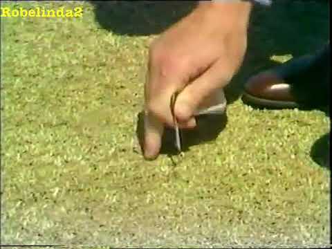 1988 Tony Greig CLASSIC PITCH REPORT