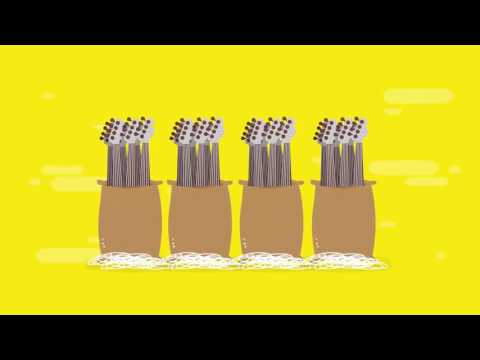 Wear Your Passion, Wear Your Music