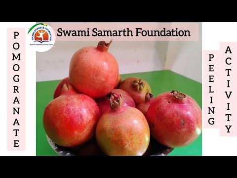 pomegranate Peeling Activity