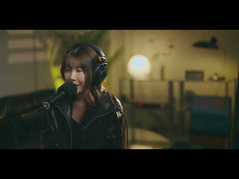 비디오 12