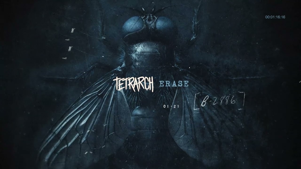 TETRARCH - Erase (Official Visualizer) - YouTube