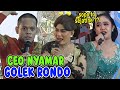 Cak Percil Cs Terbaru Efek Kakehan Ndelok Drama Cina Dadi CEO Pendopo Delta Wibawa Kab Sidoarjo