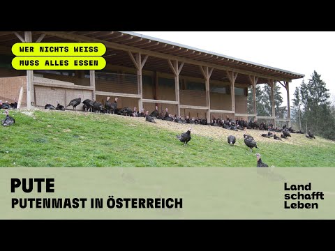 PUTE (1/5) - Putenmast in Österreich