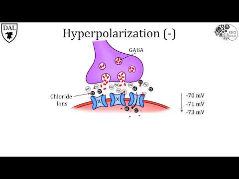 Tricky Topics: Synaptic Transmission