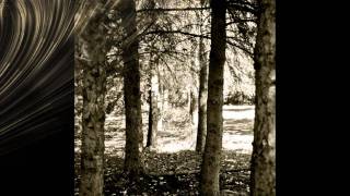 The Black Heart Procession - The spell (lyrics)