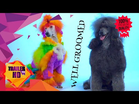 WELL GROOMED - 2019 | OFFICIAL MOVIE TRAILER #1 | SXSW FILM FESTIVAL