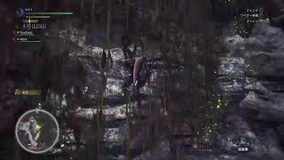 【削除覚悟】MHW