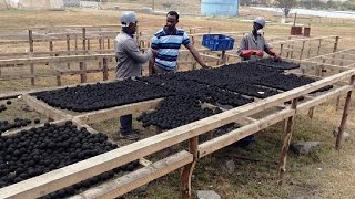 Human poo transformed into clean fuel for Kenya's urban poor