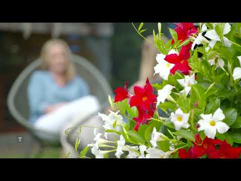 Ratgeber Bau Tirol - Kleine Grundrisse ideal planen