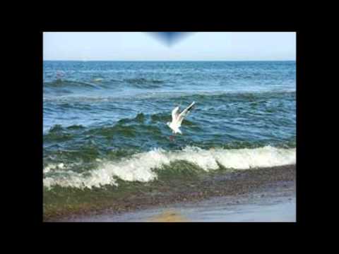 O Mar video