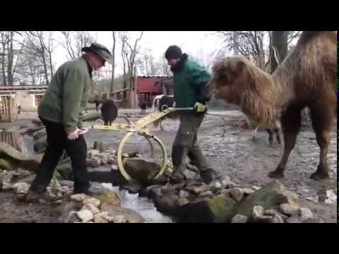 Probst Manual Boulder Grab H-FVZ-UNI