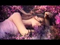 Akki & Christian Zechner feat. Aina - dreams ...