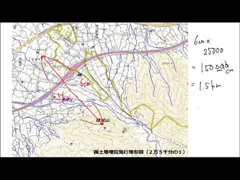 動画サムネイル