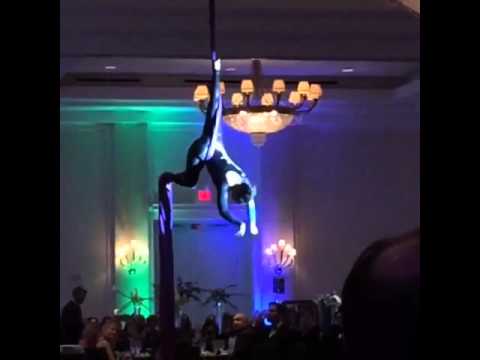 Promotional video thumbnail 2 for AIRotique aerial performance