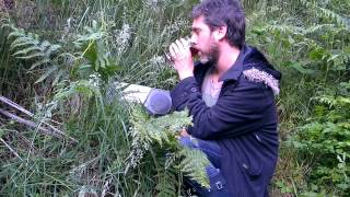 video review of ENSEMBLE ECONOMIQUE - NO GPS - Sangoplasmo Records