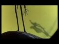Disney Montage Part 5 1986 1993