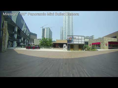 Milesight 5MP 180° Panoramic Mini Bullet Network Camera-MS-C5365-PB (Focus on Plaza)