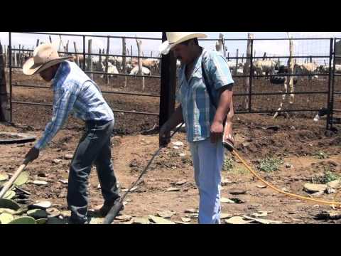 El Corrido de la Seca - Herencia Norteña (VIDEOOFICIAL2012)
