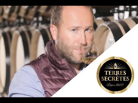 Vinventions - Témoignage Vignerons des Terres Secrètes