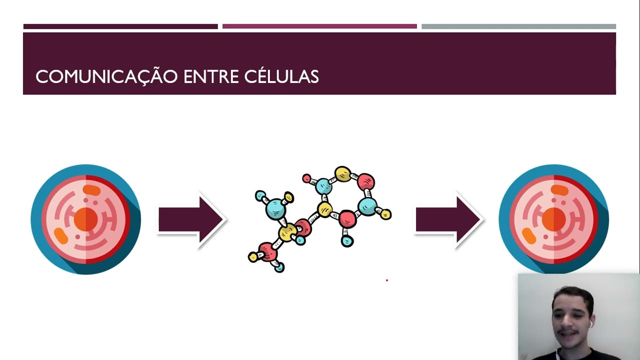 Bioquímica - Aula 4 - Biossinalização (parte 1)