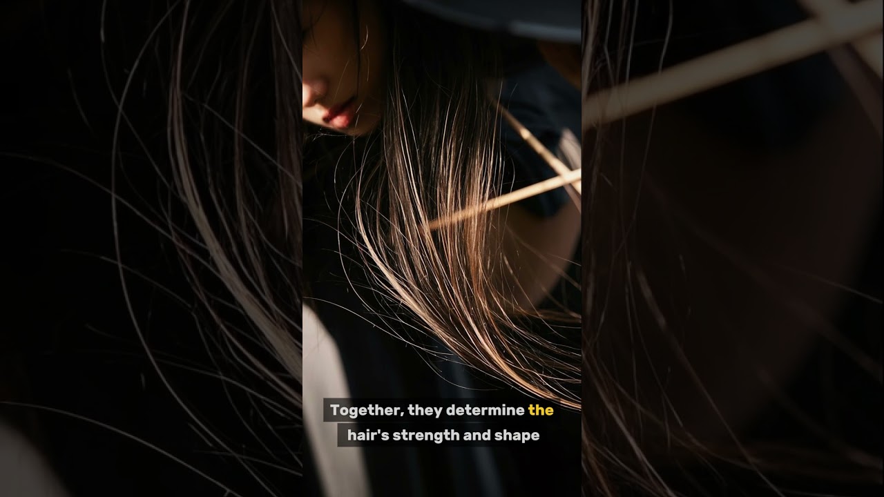 Did you know your hair is stronger than it looks? 💡 #HairFacts #HairCare #DidYouKnow #HairMyth