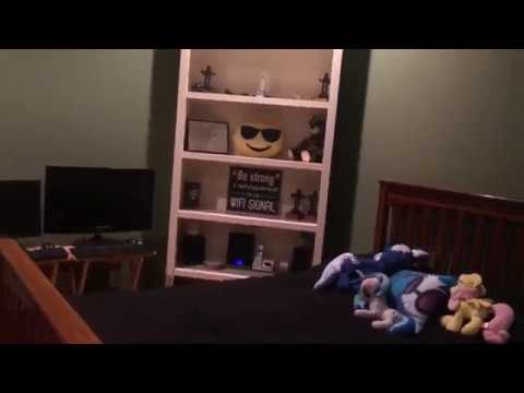 The Final Video in iRaven Studio I