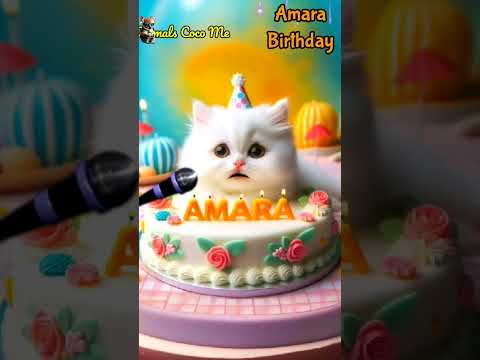 AMARA BIRTHDAY | HAPPY BIRTHDAY SONG WITH NAMES | Adorable Cute Cat 😺  #happybirthday #cute