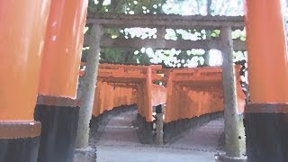 preview picture of video '伏見稲荷 Fushimi-Inari:Pilgrimage of Kyoto shrine 京都神社めぐり'