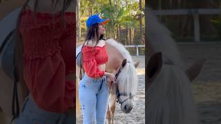 #shortsviral #horse #pecuarista #cavalo #cavalos #piadascurtas #piadasrapidas #shortvideo #shorts