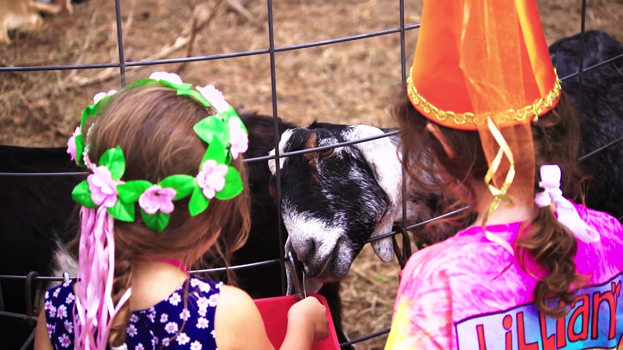 Louisiana Renaissance Festival