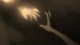 FMA is Crashing Down - AMV