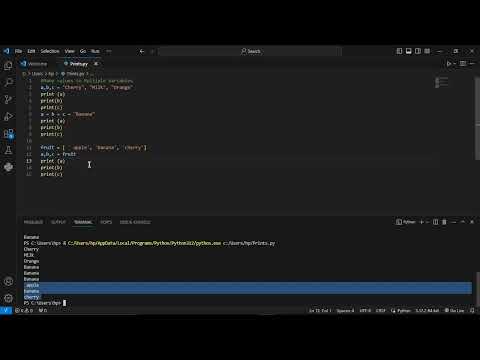 Python Variables Assign Multiple Values Chapter 2 Programming