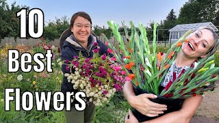 10 Most Profitable Cut Flowers with Flower Hill Farm