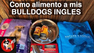 Como alimento a mis BULLDOG INGLES!!