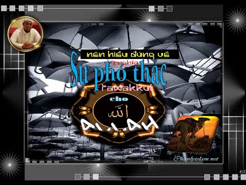 NÊN HIỂU ĐÚNG Ý NGHĨA VỀ SỰ PHÓ THÁC CHO ALLAH