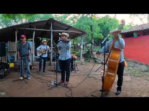 El Negro Carrillo- Los Potrillos De Turicato